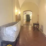 Rent 1 bedroom house of 45 m² in Rome