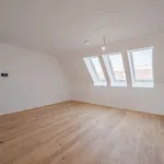 Rent 3 bedroom apartment of 85 m² in Vienna