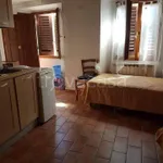 Rent 1 bedroom apartment of 46 m² in Montevarchi