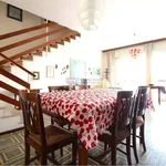 Rent 4 bedroom apartment of 120 m² in Jesolo