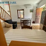 Rent 5 bedroom house of 140 m² in Montepaone