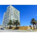 Rent 1 bedroom apartment in Port Elizabeth