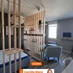 Appartement de 28 m² avec 1 chambre(s) en location à Mainvilliers