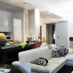 Rent 3 bedroom apartment of 100 m² in Roma