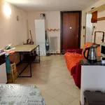 Rent 2 bedroom apartment of 50 m² in Novara