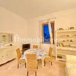 Rent 3 bedroom apartment of 60 m² in Livorno