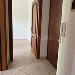 Rent 2 bedroom apartment of 60 m² in Alessandria