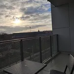 Rent 2 bedroom apartment of 60 m² in Leipzig