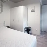 Rent 1 bedroom apartment in Brno