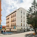 Rent 1 bedroom apartment in Madrid