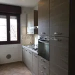 Rent 2 bedroom apartment of 60 m² in Busto Arsizio