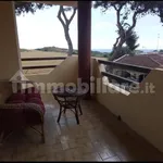 Rent 3 bedroom apartment of 80 m² in Taranto