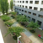 Rent 3 bedroom apartment of 90 m² in Turin