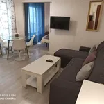 Rent 1 bedroom apartment of 55 m² in Madrid