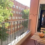 Rent 3 bedroom apartment of 90 m² in madrid