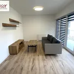 Rent 3 bedroom apartment of 65 m² in Rybnik