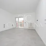 Rent 4 bedroom apartment of 195 m² in Roma