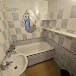 Rent 4 bedroom apartment in Teplice