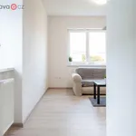 Rent 1 bedroom apartment of 20 m² in Trhový Štěpánov