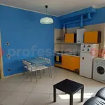 Rent 3 bedroom apartment of 75 m² in Siena