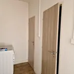 Rent 1 bedroom apartment of 37 m² in Ostrava