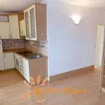 Rent 2 bedroom apartment of 43 m² in Capital City of Prague