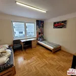 Rent 10 bedroom house of 280 m² in Włocławek