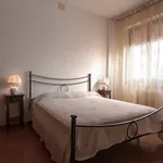 Rent 3 bedroom apartment of 70 m² in Follonica