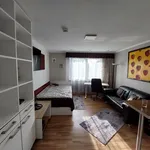 Miete 1 Schlafzimmer wohnung von 26 m² in Frankfurt