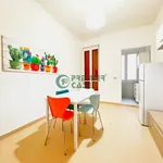 Rent 3 bedroom apartment of 85 m² in Turin