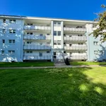 Rent 2 bedroom apartment of 55 m² in Dortmund