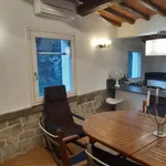 Rent 1 bedroom apartment of 35 m² in Mugnone