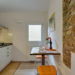 Rent 1 bedroom apartment of 50 m² in Florence