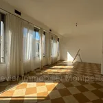 Rent 3 bedroom apartment of 30 m² in Montpellier