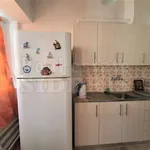 Rent 1 bedroom apartment of 30 m² in Municipal Unit of Loutraki - Perachora