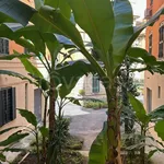 Rent 2 bedroom apartment of 90 m² in Roma