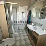 Rent 3 bedroom apartment of 16 m² in padova