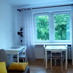 Rent 1 bedroom apartment of 27 m² in Poznan