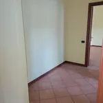 Rent 3 bedroom apartment of 100 m² in Piove di Sacco