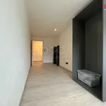 Rent 3 bedroom apartment in Vyškov