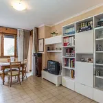 Rent 2 bedroom apartment of 70 m² in Roma