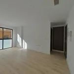 Alquilo 1 dormitorio apartamento de 45 m² en Alicante/Alacant