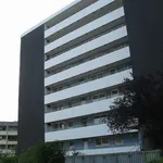 Miete 3 Schlafzimmer wohnung von 76 m² in Iserlohn