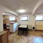 Rent 1 bedroom apartment of 33 m² in Pécs