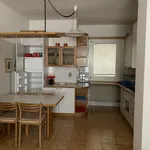 Rent 3 bedroom apartment of 70 m² in Trento