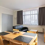 Huur 1 slaapkamer appartement van 753 m² in Brussels