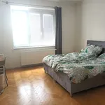 Rent 2 bedroom apartment in Brno