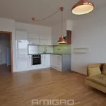 Rent 2 bedroom apartment of 50 m² in Brno