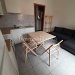 Rent 2 bedroom apartment of 46 m² in Turin
