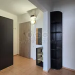 Rent 2 bedroom apartment of 46 m² in Ústí nad Labem